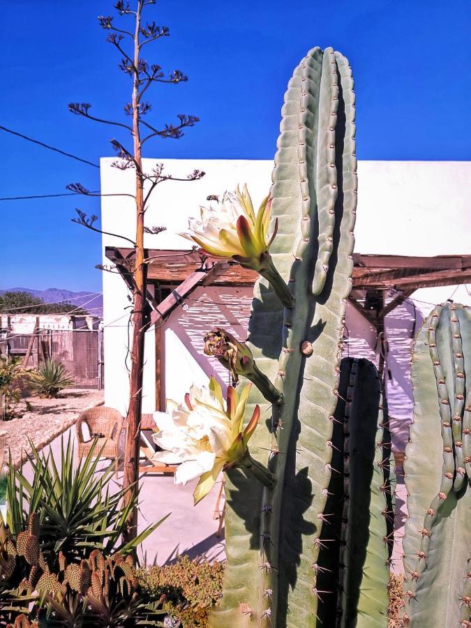 Апартаменты Cortijo La Ciclona Фернан-Перес Экстерьер фото